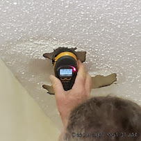 Nationwide Pest Control - Photo 9 - Car repair in , Memphis