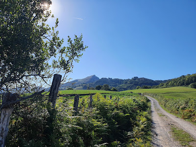Les Palombières de Sare à Sare