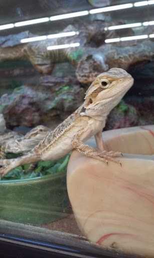 Pet Supply Store «Petco Animal Supplies», reviews and photos, 2420 Eastern Blvd, York, PA 17402, USA