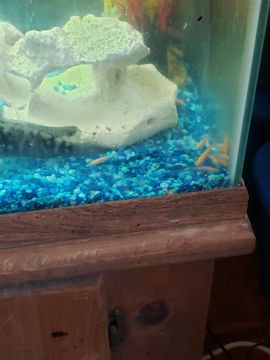 Pet Supply Store «Petco Animal Supplies», reviews and photos, 1401 E Spring Valley Rd, Richardson, TX 75081, USA