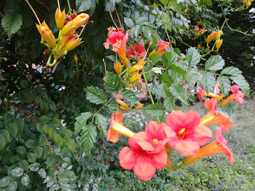 Performing Arts Theater «Boston Center for the Arts», reviews and photos, 539 Tremont St, Boston, MA 02116, USA