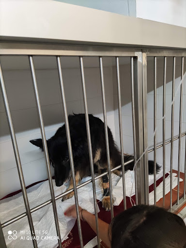 Clínica Veterinaria Gran Via en Barcelona