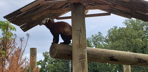 Zoo «Potawatomi Zoo», reviews and photos, 500 S Greenlawn Ave, South Bend, IN 46615, USA