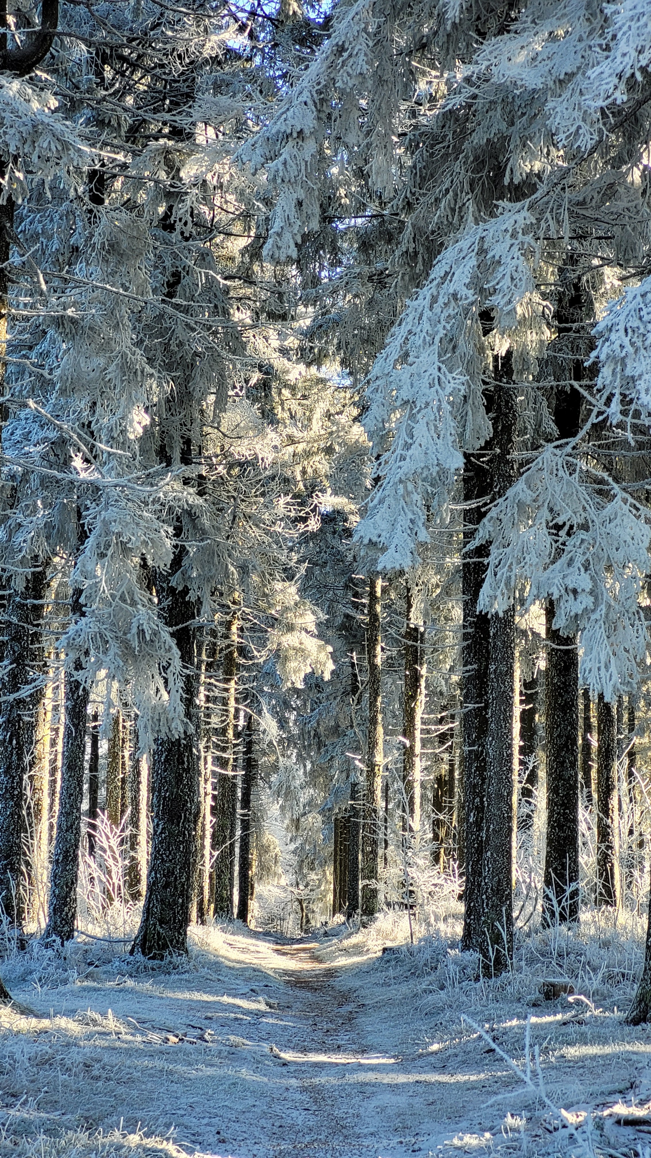 Photo n° 2 de l'avis de Jean-pierre.J fait le 13/12/2022 à 19:20