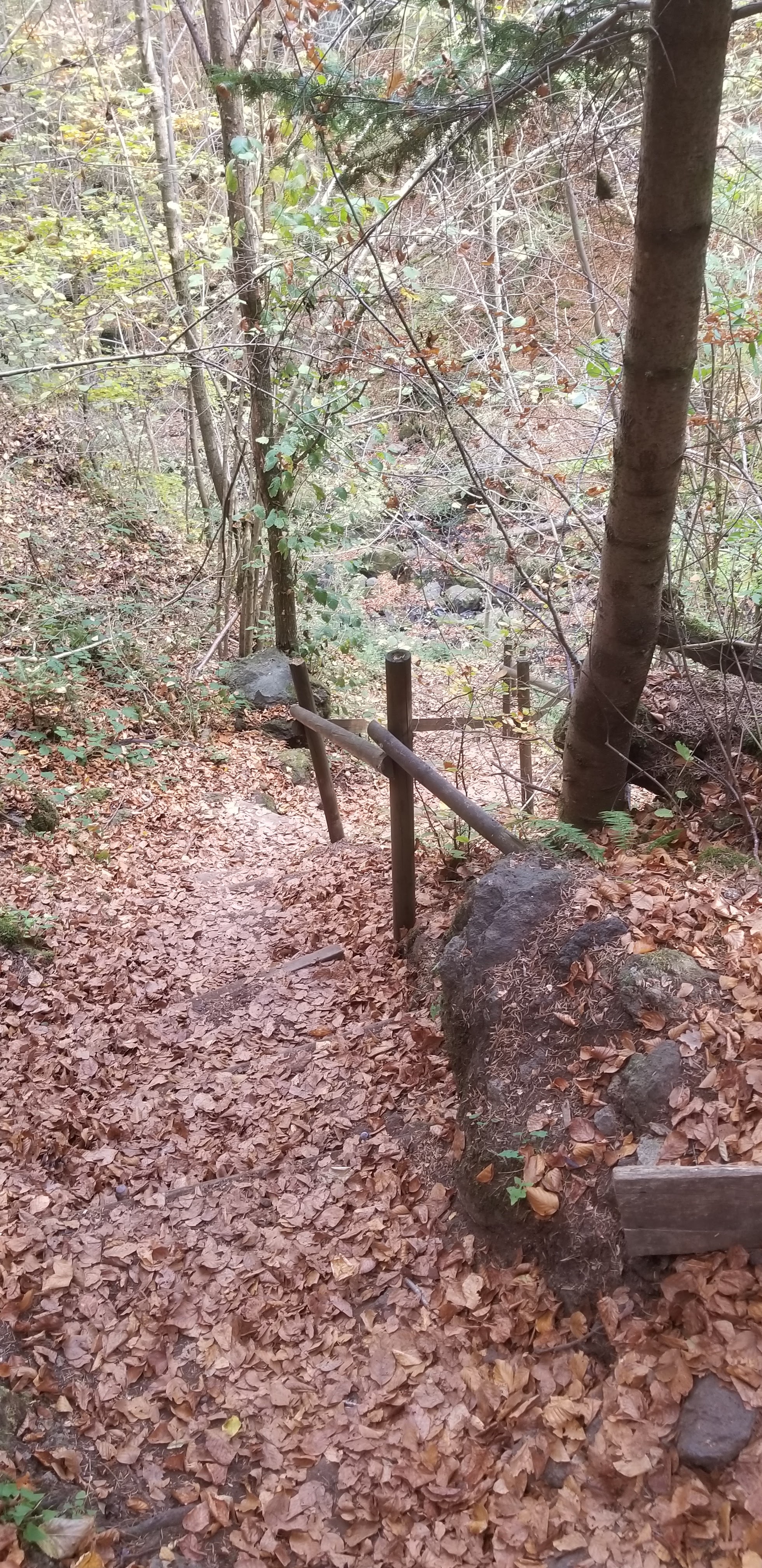 Photo n° 28 de l'avis de Céline.O fait le 31/10/2022 à 19:54