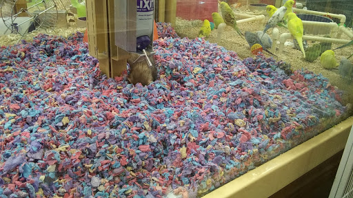Pet Supply Store «Pet Supermarket», reviews and photos, 2749 S Church St, Burlington, NC 27215, USA