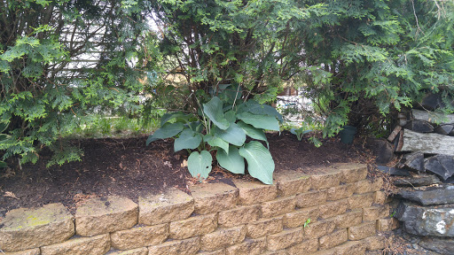 Produce Market «Smith Farm», reviews and photos, 131 Kimball Hill Rd, Hudson, NH 03051, USA