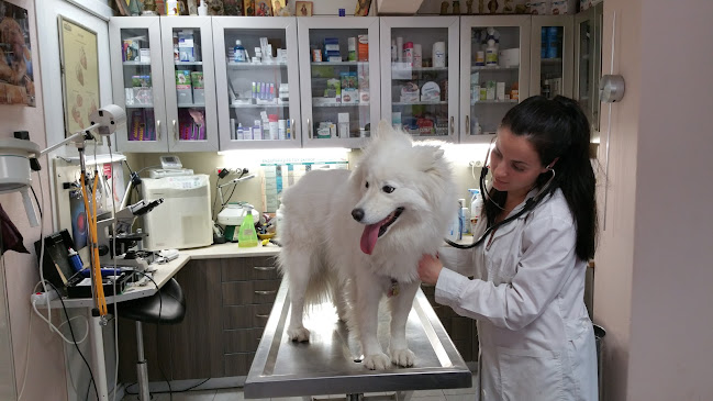 Ολύνθου 46, Θεσσαλονίκη 543 51