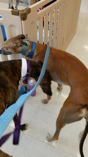 Pet Supply Store «Petco Animal Supplies», reviews and photos, 5961 Warner Ave, Huntington Beach, CA 92649, USA