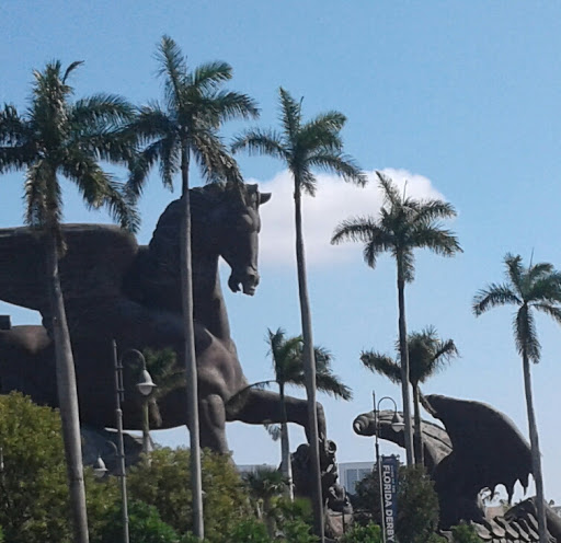 Fabric Store «Boca Bargoons Hallandale Beach», reviews and photos, 202 Old Federal Hwy, Hallandale Beach, FL 33009, USA