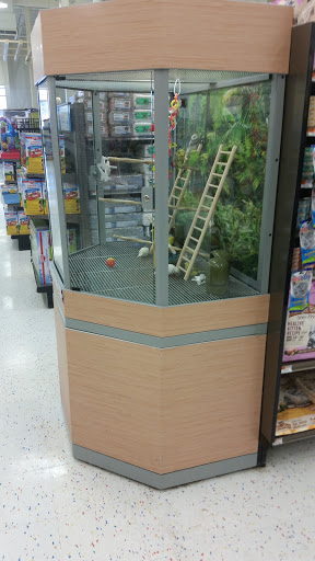 Pet Supply Store «Petco Animal Supplies», reviews and photos, 163 Highland Ave, Needham, MA 02494, USA