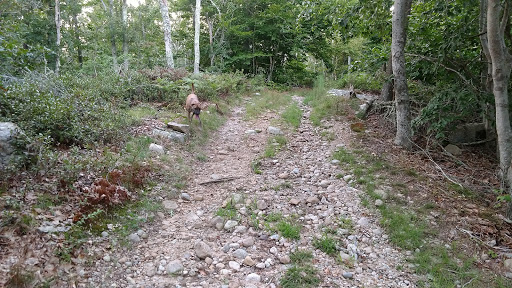 Park «Goodwill Park», reviews and photos, 416 Green St, Holliston, MA 02540, USA