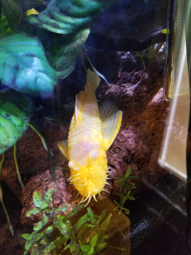 Pet Supply Store «Exotic Aquatic», reviews and photos, 275 E Oakland Park Blvd, Fort Lauderdale, FL 33334, USA