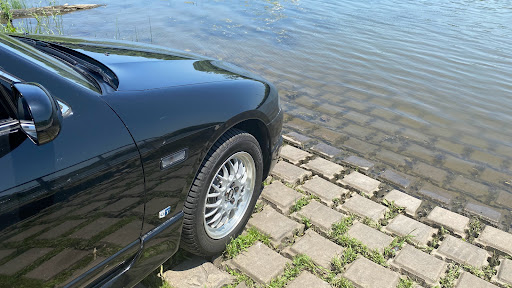 Nature Preserve «Elgin Shores Forest Preserve», reviews and photos, 772 S State St, Elgin, IL 60123, USA