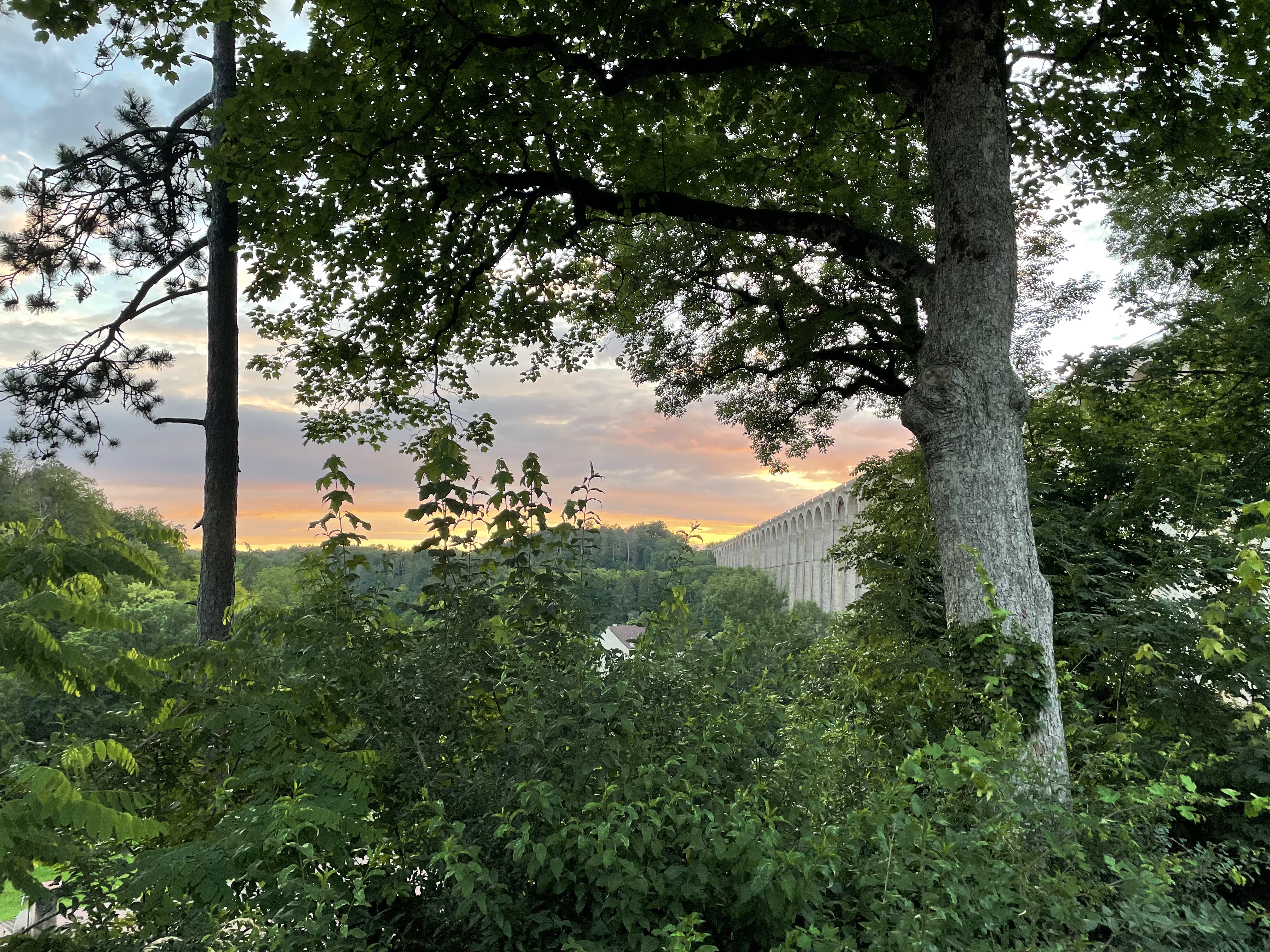 Photo n° 3 de l'avis de Guy.n fait le 10/07/2021 à 16:58