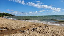 Foto di Four Mile Scenic Turnout Beach con molto pulita livello di pulizia