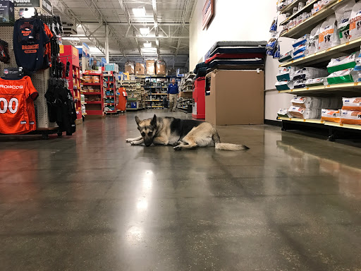 Pet Supply Store «PetSmart», reviews and photos, 20 W University Pkwy, Orem, UT 84058, USA