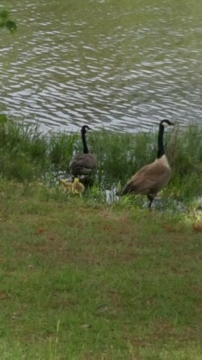 Park «Flint Creek Water Park», reviews and photos, 1216 Parkway Dr, Wiggins, MS 39577, USA