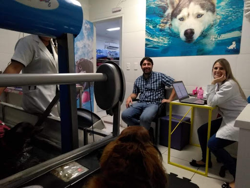 Eco Pet - Veterinary Center and Pet Shop em São Bernardo do Campo - SP