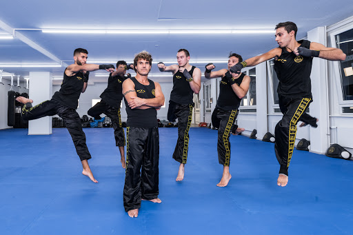 Mma classes Zurich