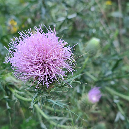 State Park «Taylorsville Lake State Park», reviews and photos, 1320 Park Rd, Mt Eden, KY 40046, USA