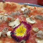 Photo n°3 de l'avis de Lucia.v fait le 25/02/2020 à 22:05 sur le  O'sarracin à Senigallia