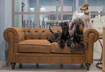 MUM&apos;S DOGS Peluquería Canina - Servicios para mascota en Barcelona