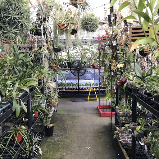 Flori-Culture: Hoyas + Tropicals + Supply