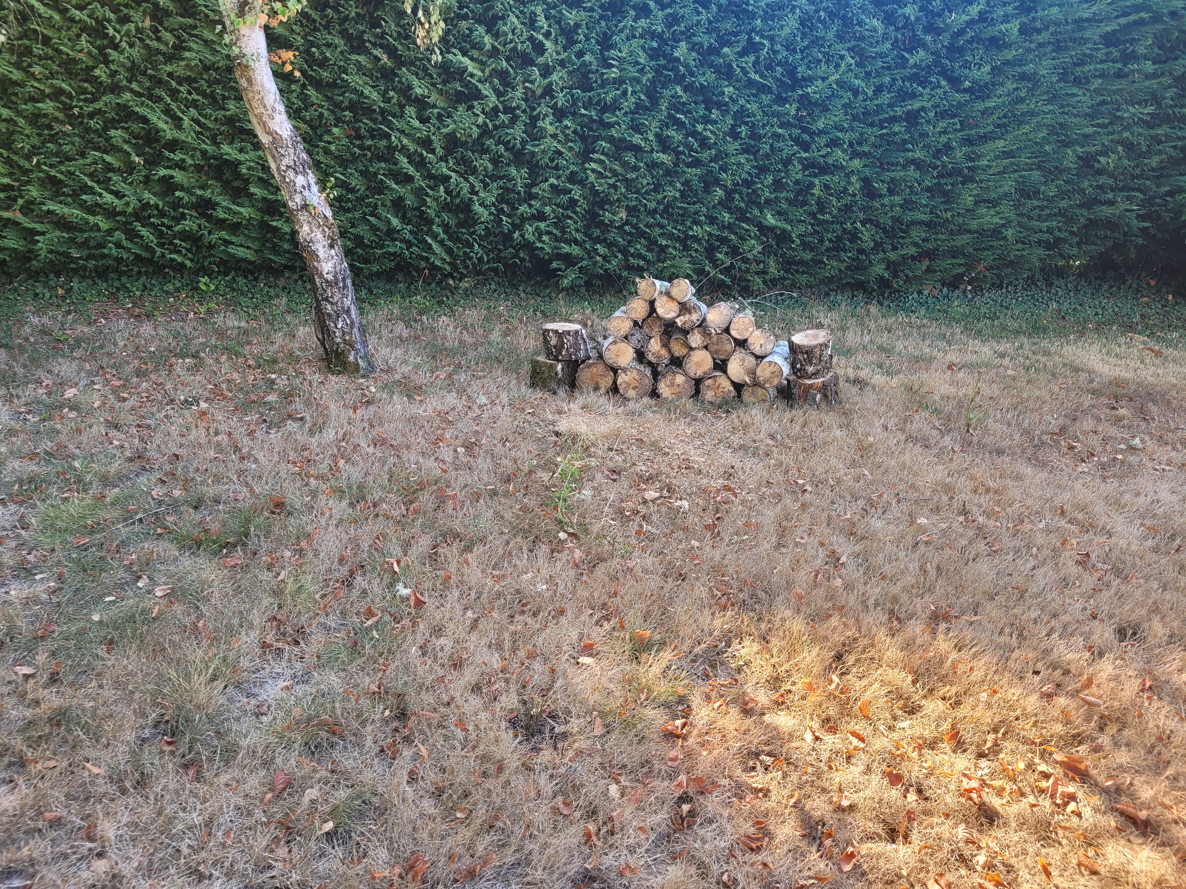 Photo n° 1 de l'avis de Serge.a fait le 06/09/2022 à 08:50
