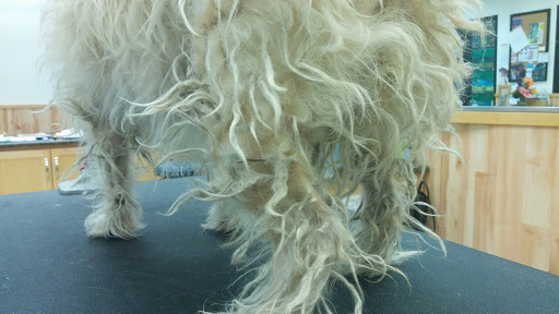 Pet Supply Store «Pet Supplies Plus», reviews and photos, 4751 Hiawatha Ave, Minneapolis, MN 55406, USA