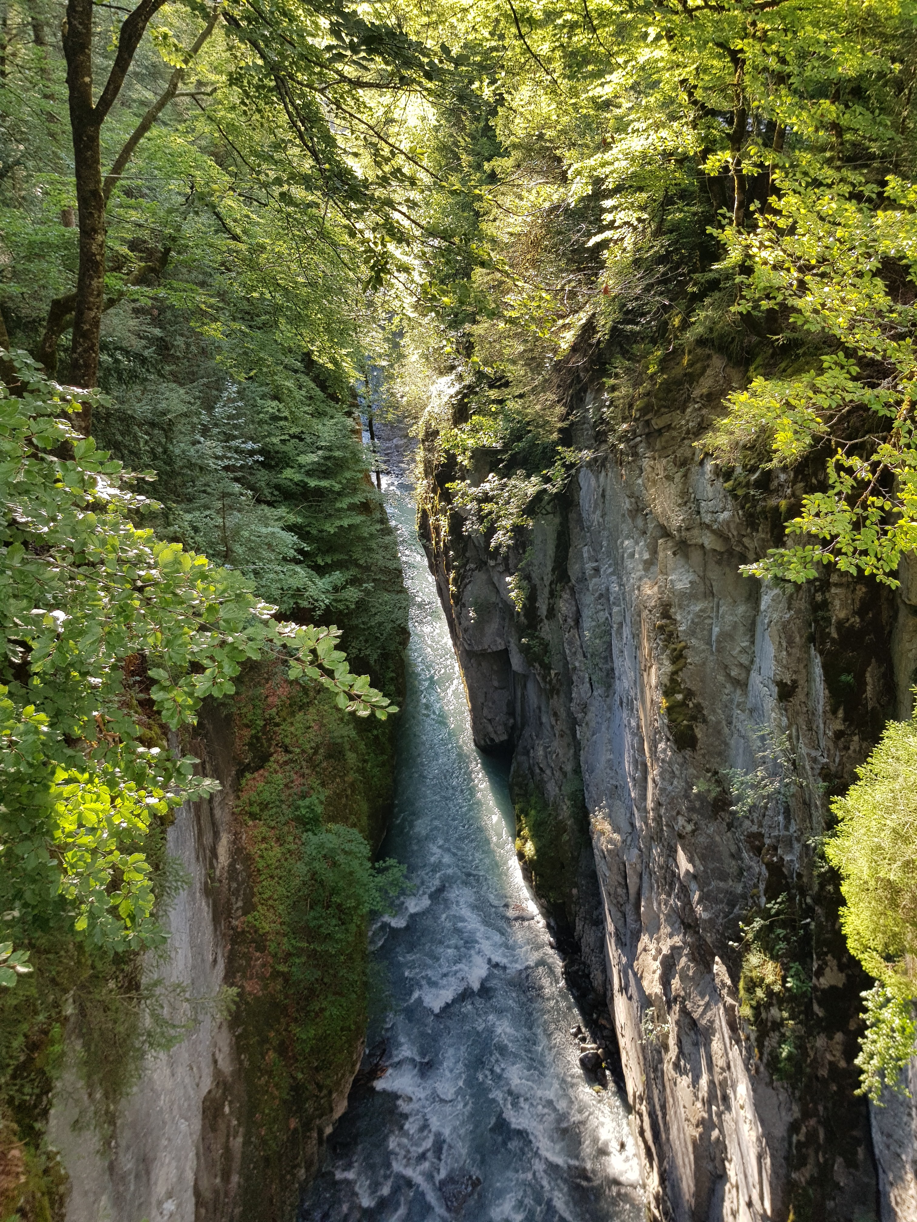 Photo n° 1 de l'avis de Laurent.e fait le 02/08/2019 à 20:58