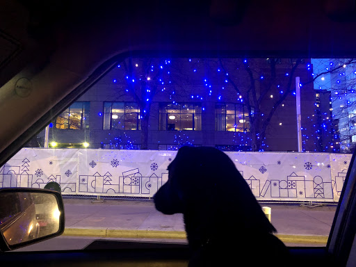 Florist «Secret Garden», reviews and photos, 1512 Larimer St, Denver, CO 80202, USA