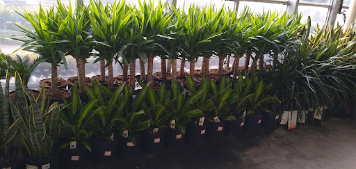 Home Improvement Store «The Home Depot», reviews and photos, 7001 Crestwood Blvd #1300, Birmingham, AL 35210, USA