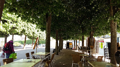 les tilleuls à Autun