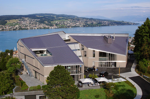 Weddings among vineyards in Zurich