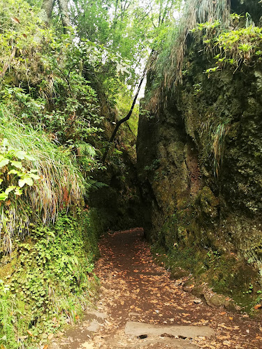 Parque de estacionamento - Ribeiro Frio - Santana