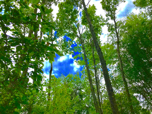 Park «Salem Woods», reviews and photos, Willson St, Salem, MA 01970, USA