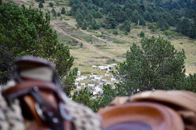 Arnaud Ranch et Spectacles à Counozouls
