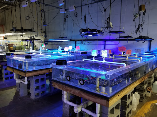 Tropical Fish Store «The Fish Store», reviews and photos, 2050 Chamblee Tucker Rd, Chamblee, GA 30341, USA