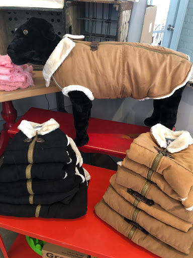 Pet Supply Store «3 Dogs 1 Cat», reviews and photos, 2472 Riopelle St, Detroit, MI 48207, USA