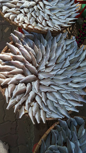 Top 20 cửa hàng play Huyện Cần Giờ Hồ Chí Minh 2022