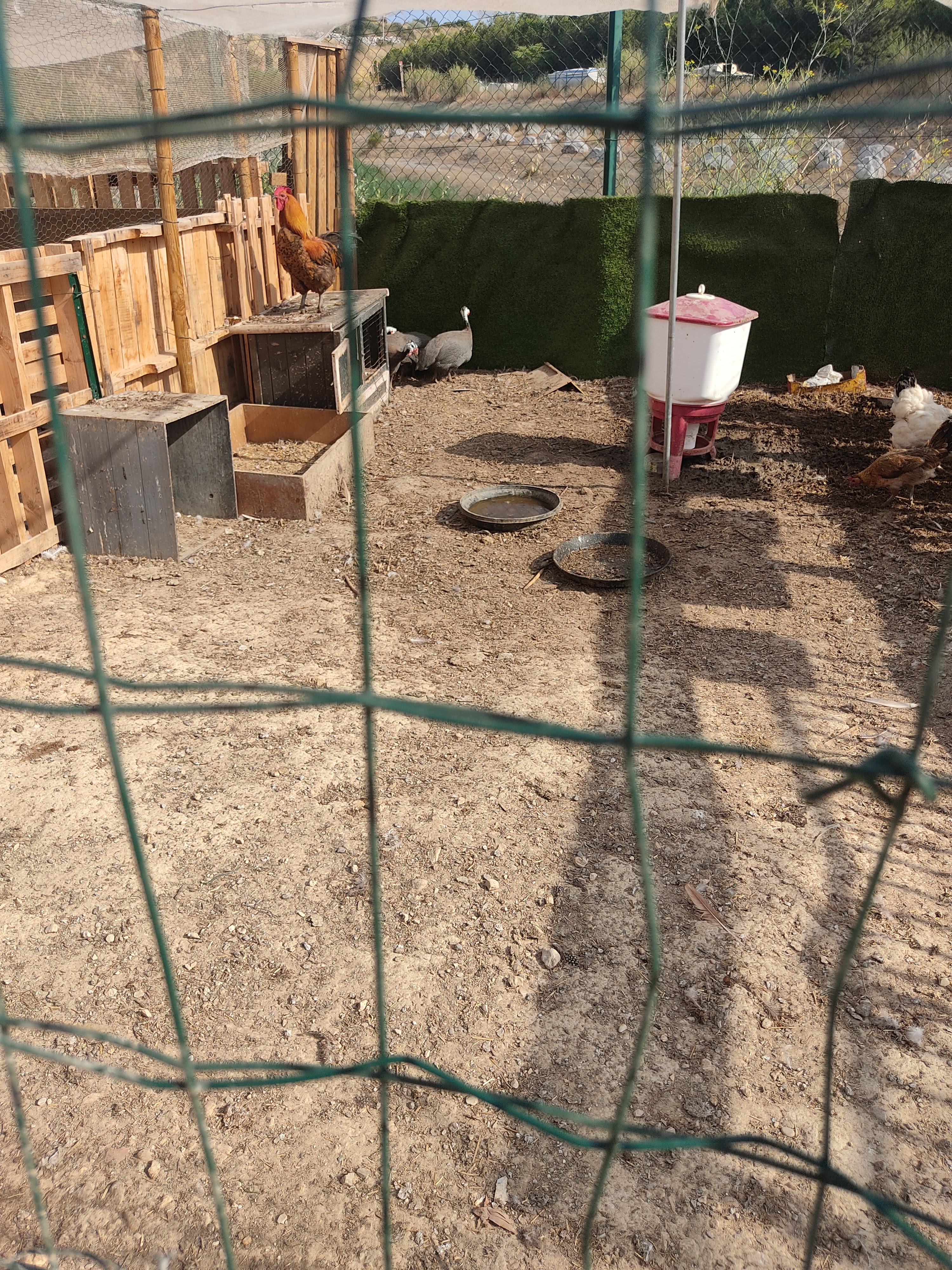 Photo n° 3 de l'avis de S..a fait le 04/08/2022 à 19:54