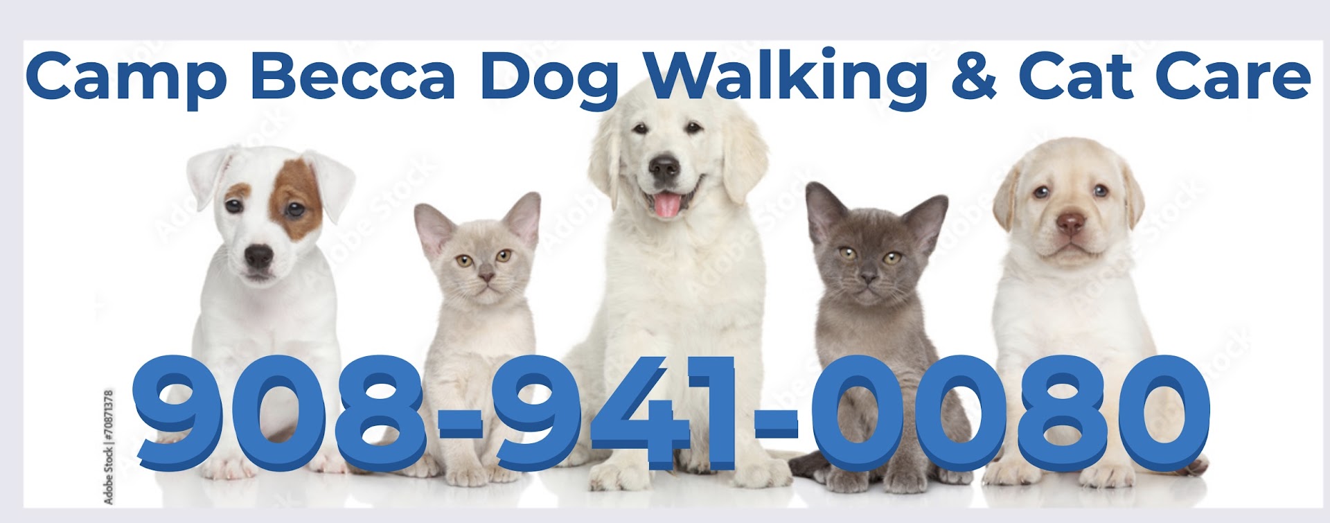 Camp Becca - Professional Dog Walking & Pet Sitting New Jersey