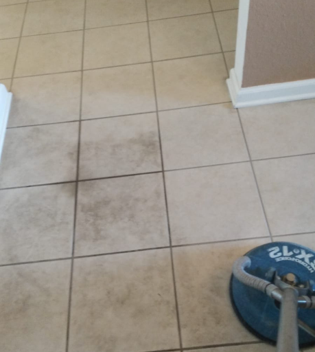 Eco-Steam Carpet Cleaning