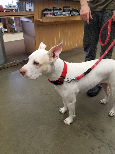 Pet Supply Store «Western Ranch & Pet Supply», reviews and photos, 103 Aegean Way, Vacaville, CA 95687, USA