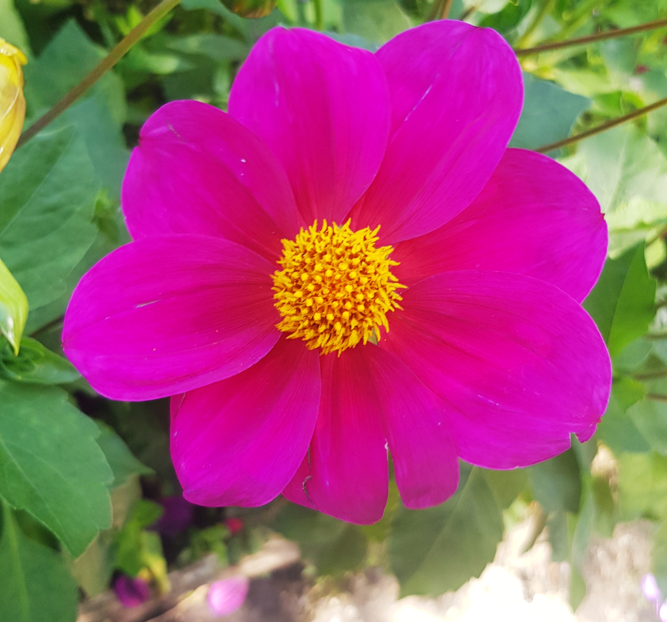 Photo n° 8 de l'avis de Nathanaëlle.a fait le 21/07/2021 à 11:12