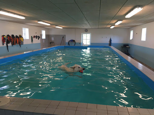 Frederikssund Hundecenter in Frederikssund, Frederikssund