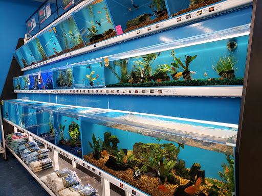 Pet Store «Pet Supermarket», reviews and photos, 9798 Glades Rd, Boca Raton, FL 33434, USA