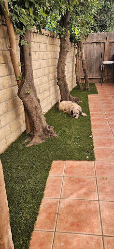 Synthetic Grass Depot image