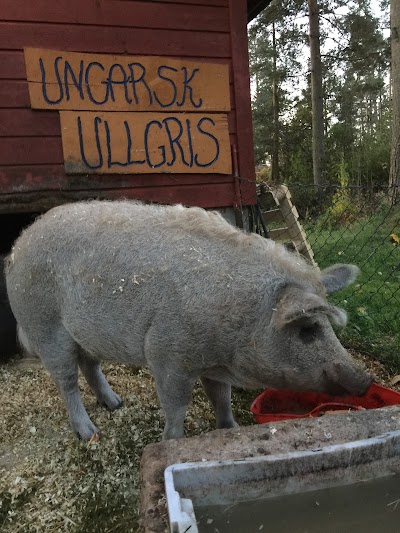 Photos of Hulfjell Farm. Open farm